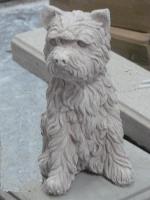 Maltese_Dog.jpg